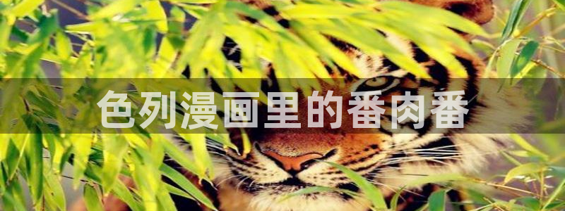 韩漫在线播放：色列漫画里的番肉番