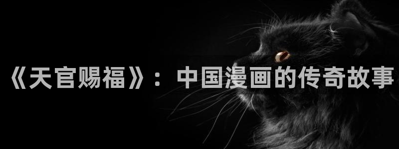 韩漫禁漫网站：《天官赐福》：中国漫画的传奇故事