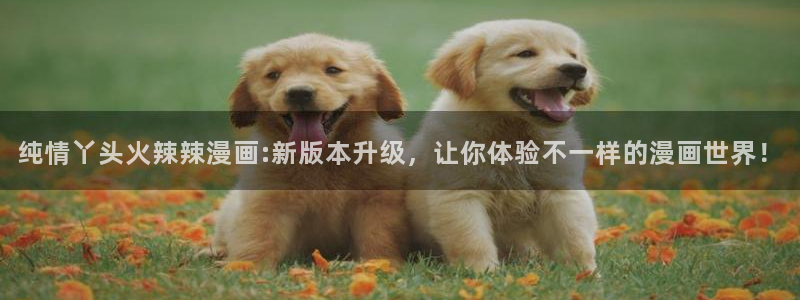 韩漫18在线看：纯情丫头火辣辣漫画:新版本升级，让你体验不一样的漫画世界！