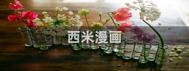 韩漫画免费软件大全：西米漫画