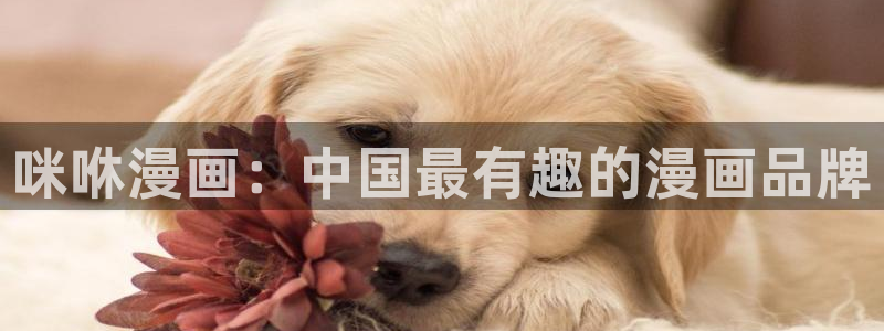 韩漫漫画免费版在线阅读下拉式阅：咪咻漫画：中国最有趣的漫画品牌