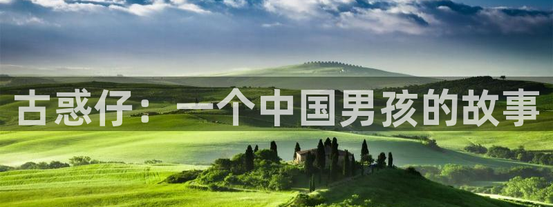 成人韩漫网址：古惑仔：一个中国男孩的故事