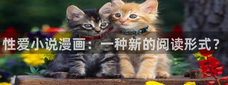 韩漫在线免费观看完整版