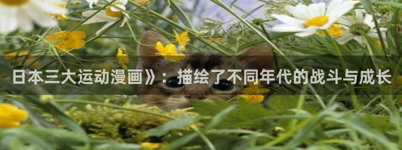 漫画网韩漫大全：日本三大运动漫画》：描绘了不同年代的战斗与成长