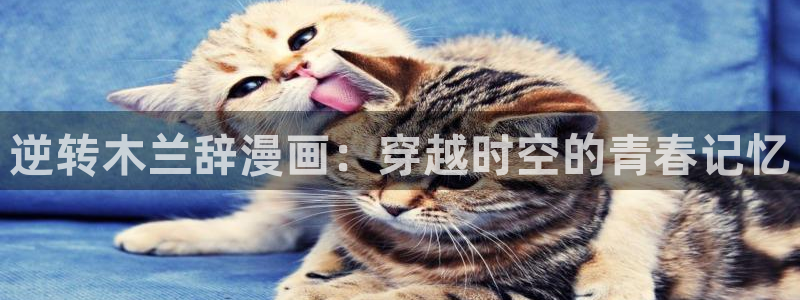 复仇母女韩漫免费在线观看：逆转木兰辞漫画：穿越时空的青春记忆