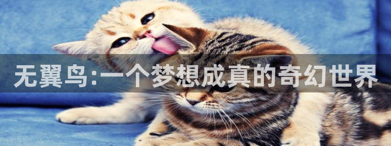 免费韩漫画软件：无翼鸟:一个梦想成真的奇幻世界