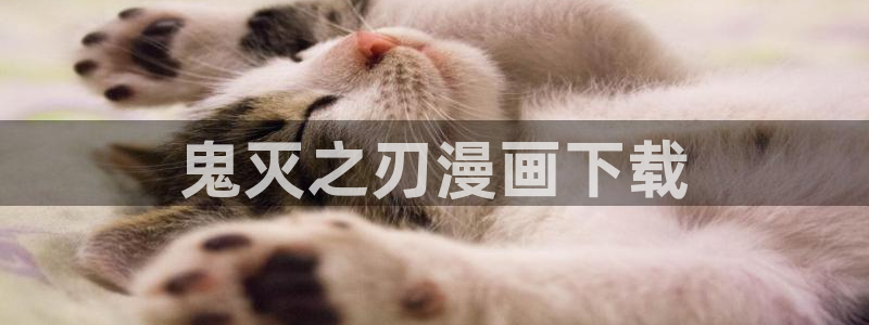 韩国漫画登录韩漫：鬼灭之刃漫画下载