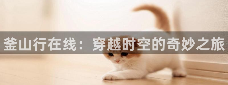 韩漫画在线免费看漫画入口：釜山行在线：穿越时空的奇妙之旅