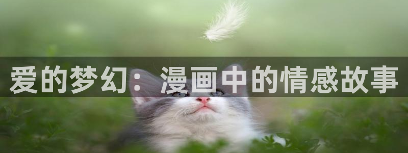 歪歪韩漫：爱的梦幻：漫画中的情感故事
